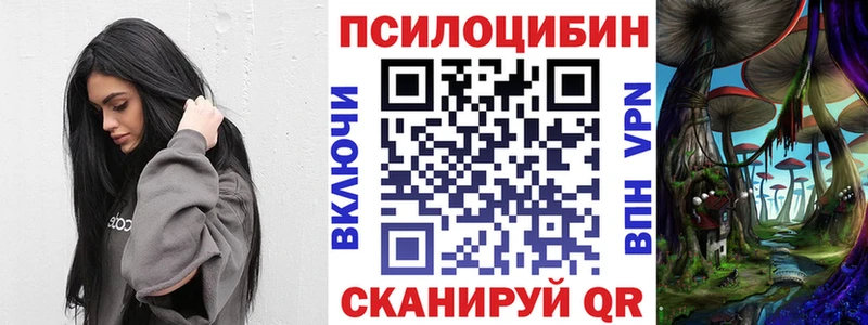 mega онион  Заводоуковск  Псилоцибиновые грибы ЛСД  купить  сайты 